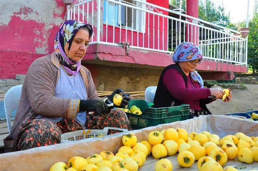Kilosu 50 lira! Çöpe atmayıp kurutmaya başladı, talep patladı...
