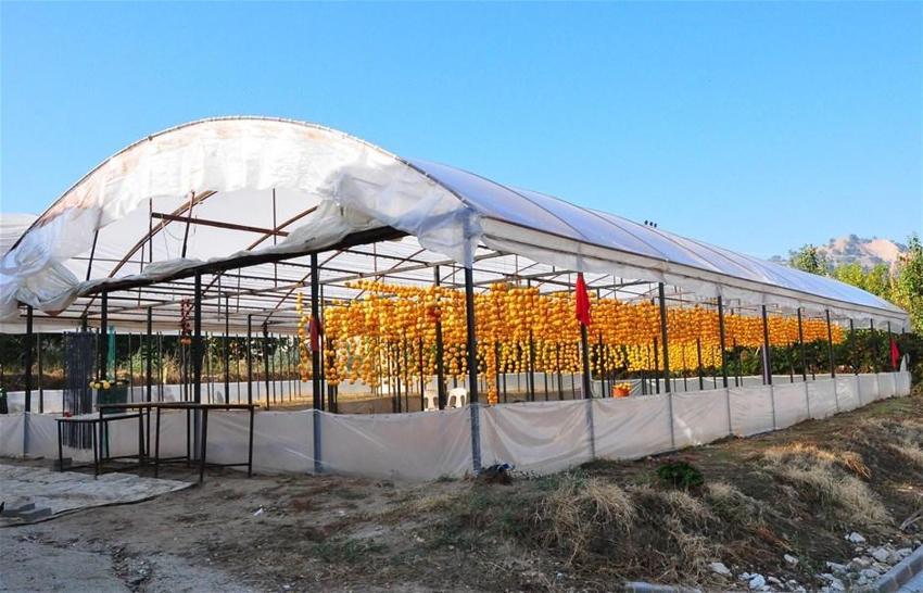 Kilosu 50 lira! Çöpe atmayıp kurutmaya başladı, talep patladı...