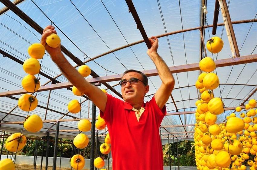 Kilosu 50 lira! Çöpe atmayıp kurutmaya başladı, talep patladı...