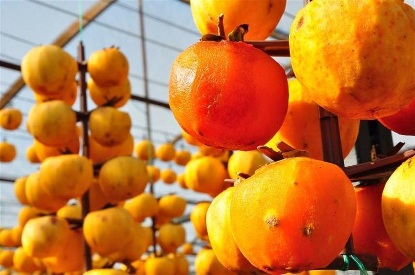 Kilosu 50 lira! Çöpe atmayıp kurutmaya başladı, talep patladı...
