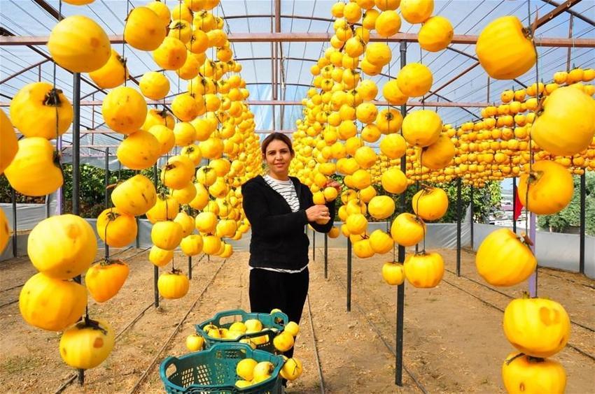 Kilosu 50 lira! Çöpe atmayıp kurutmaya başladı, talep patladı...