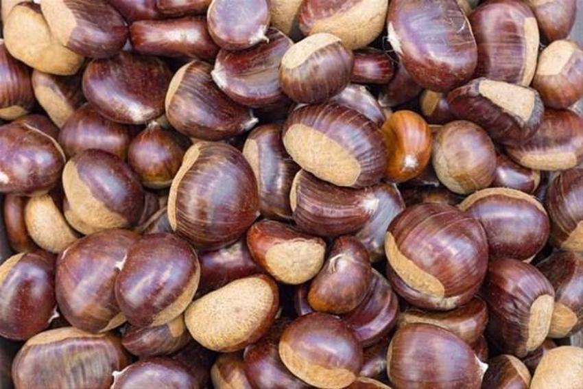 Vücutta mucize yaratıyor! Tam bir B1 ve B2 vitamini deposu
