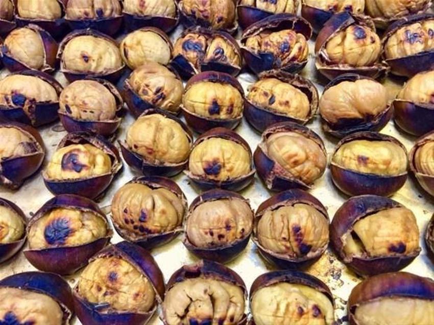 Vücutta mucize yaratıyor! Tam bir B1 ve B2 vitamini deposu