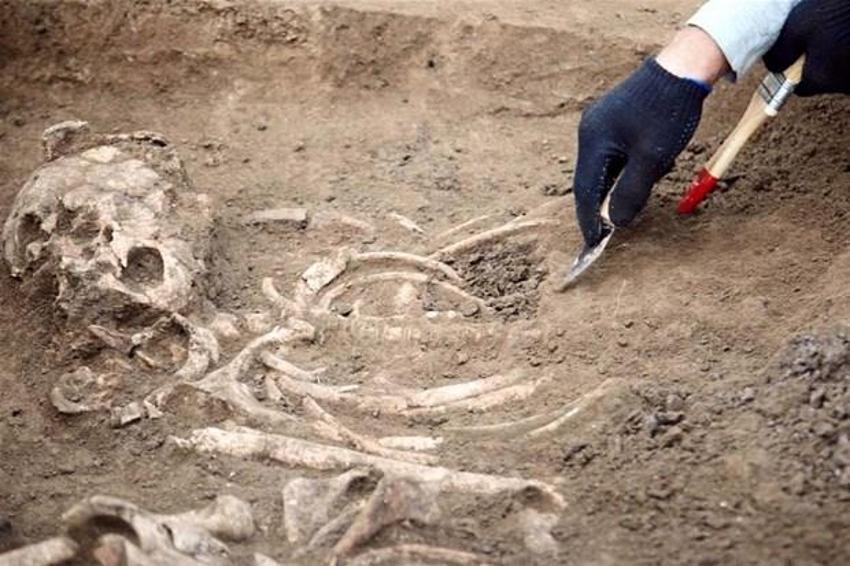 Homo sapiens ve Neandertallerden sonra yeni bir insan türü bulundu: Homo bodoensis