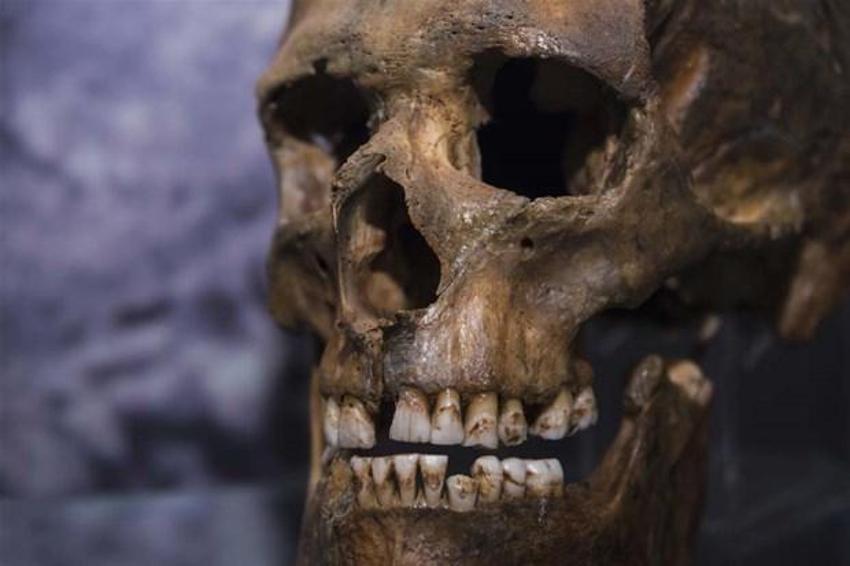 Homo sapiens ve Neandertallerden sonra yeni bir insan türü bulundu: Homo bodoensis