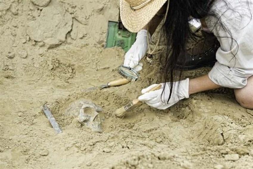 Homo sapiens ve Neandertallerden sonra yeni bir insan türü bulundu: Homo bodoensis