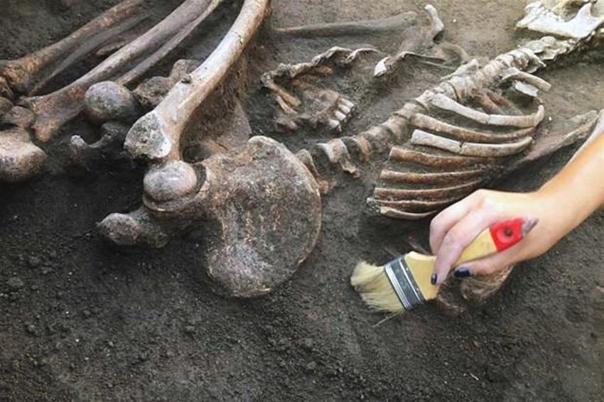 Homo sapiens ve Neandertallerden sonra yeni bir insan türü bulundu: Homo bodoensis