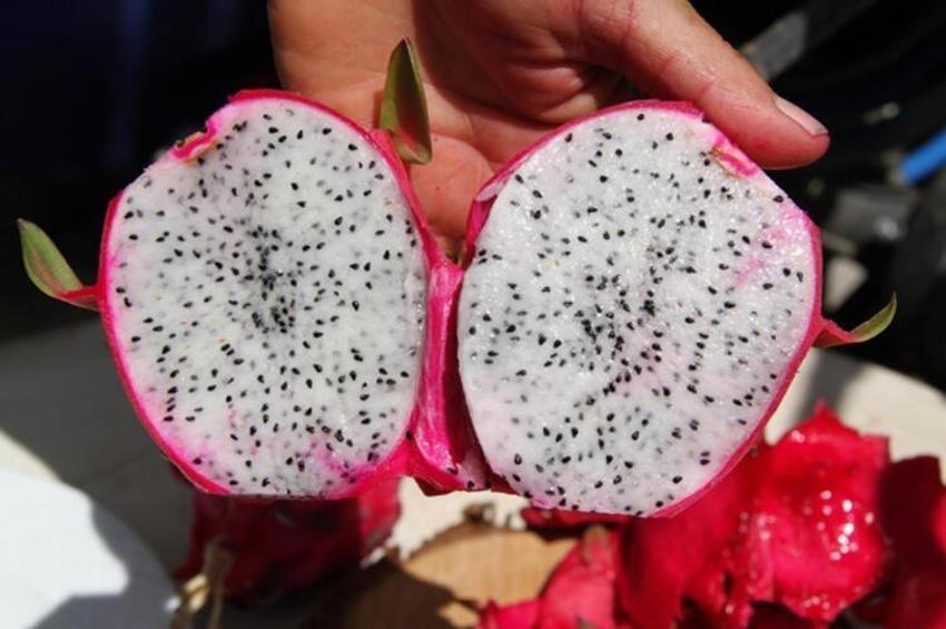 Kilosu 40 lira! Talep patladı, ülkeler sıraya girdi...