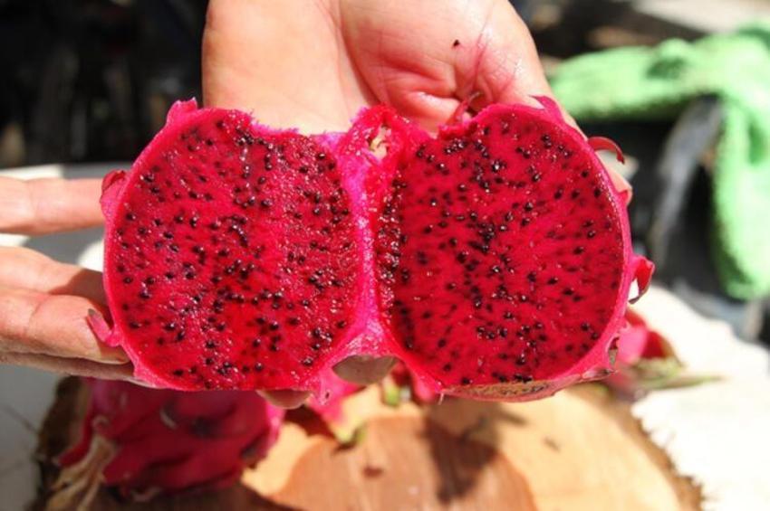 Kilosu 40 lira! Talep patladı, ülkeler sıraya girdi...