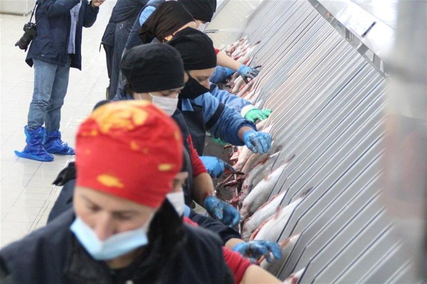 İhracatı yüzde 275 arttı, ülkelerden talep yağıyor! 1,5 milyar dolar...