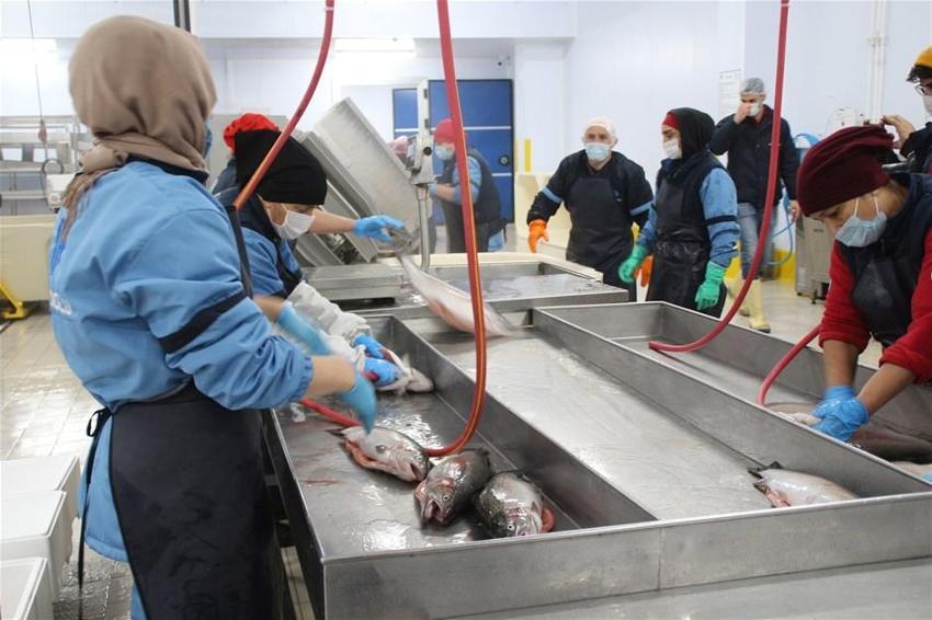 İhracatı yüzde 275 arttı, ülkelerden talep yağıyor! 1,5 milyar dolar...