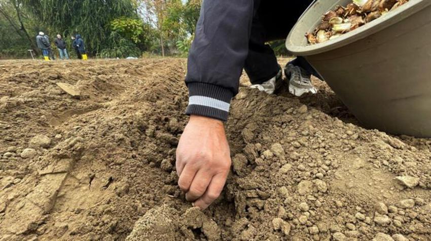 Kozmetik sektörünün vazgeçilmezi! 30 kat daha fazla kazandırıyor