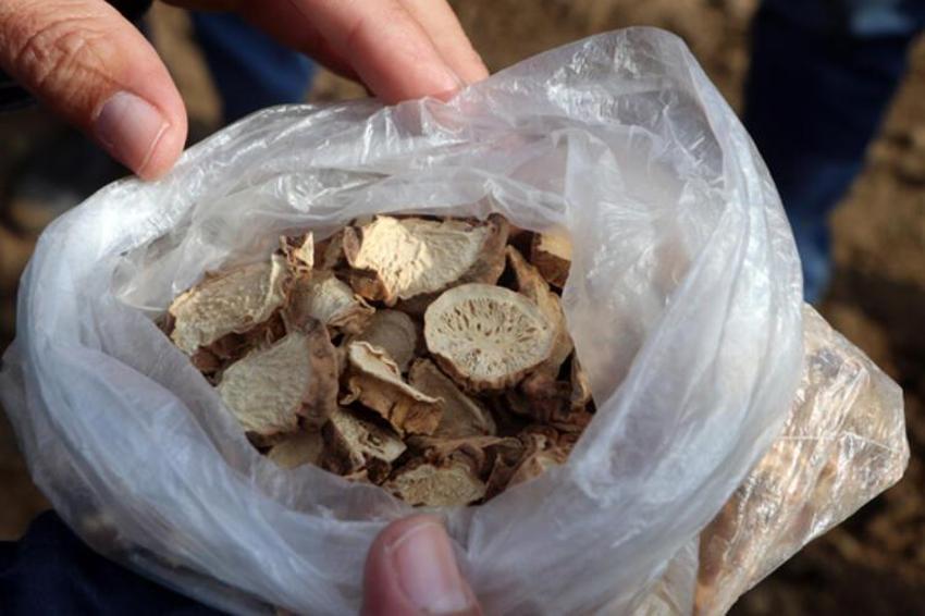 Kozmetik sektörünün vazgeçilmezi! 30 kat daha fazla kazandırıyor