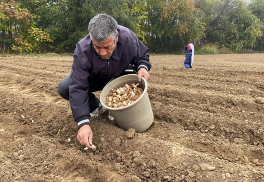 Kozmetik sektörünün vazgeçilmezi! 30 kat daha fazla kazandırıyor