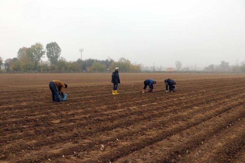 Kozmetik sektörünün vazgeçilmezi! 30 kat daha fazla kazandırıyor
