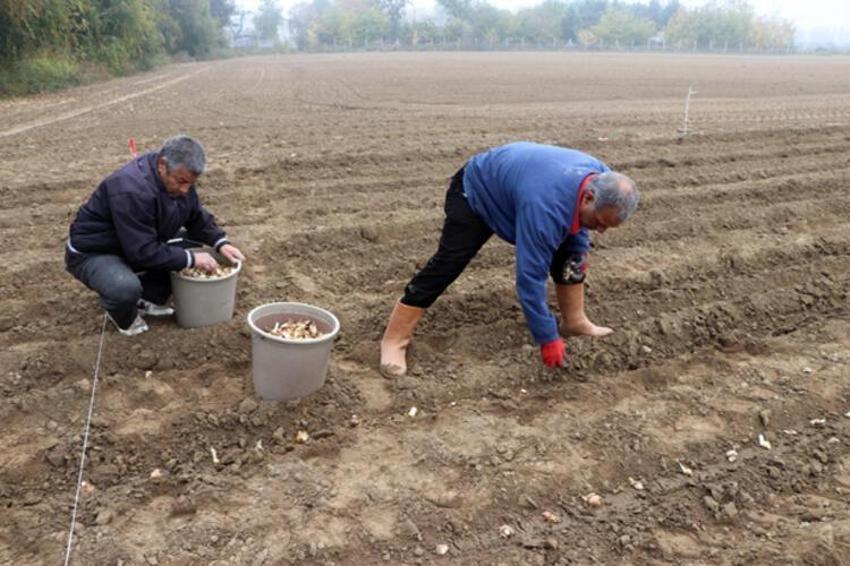 Kozmetik sektörünün vazgeçilmezi! 30 kat daha fazla kazandırıyor