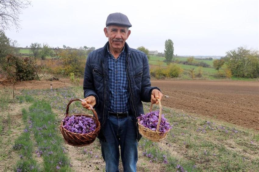 Hobi olarak başladı paraya para demiyor! Kilosu 50 bin lira, taleplere yetişemiyor