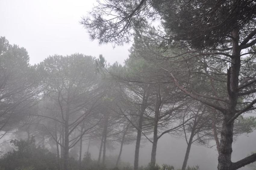 Meteoroloji son dakika olarak duyurdu! Tamamen değişiyor, günlerce devam edecek flaş uyarı...