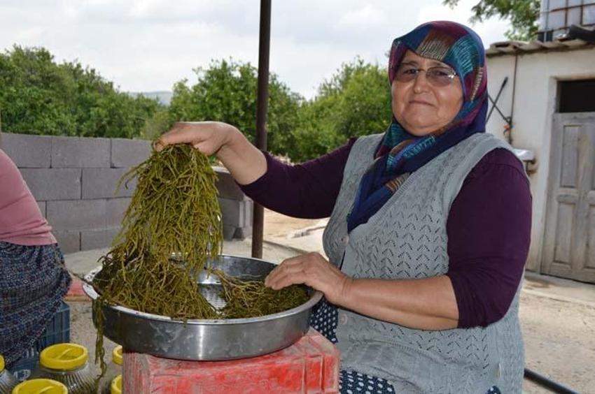 Kilosu 35 TL'den satılıyor! Tek tek ayıklıyorlar, içinde hiçbir katkı maddesi yok...