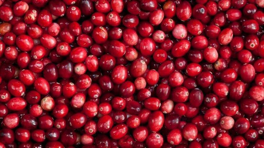 Kolesterole karşı düşman, diyabete iyi geliyor! Bu besinler vücutta mucize yaratıyor