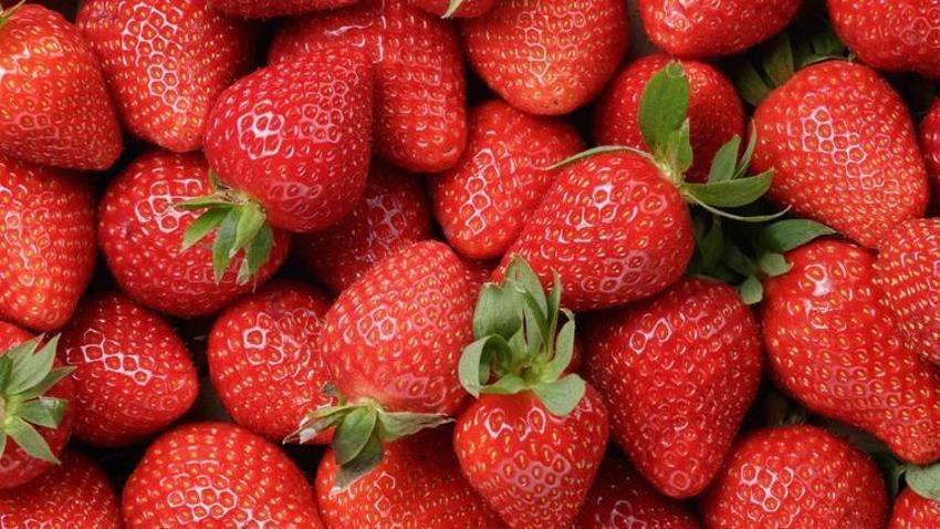 Kolesterole karşı düşman, diyabete iyi geliyor! Bu besinler vücutta mucize yaratıyor