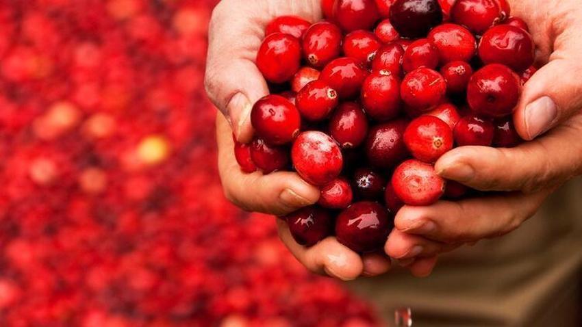 Kolesterole karşı düşman, diyabete iyi geliyor! Bu besinler vücutta mucize yaratıyor