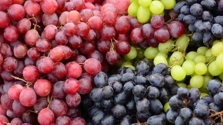 Kolesterole karşı düşman, diyabete iyi geliyor! Bu besinler vücutta mucize yaratıyor