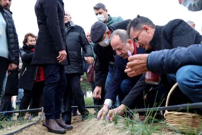 Gramı 50 lira! Talep patladı, üreten paraya para demiyor