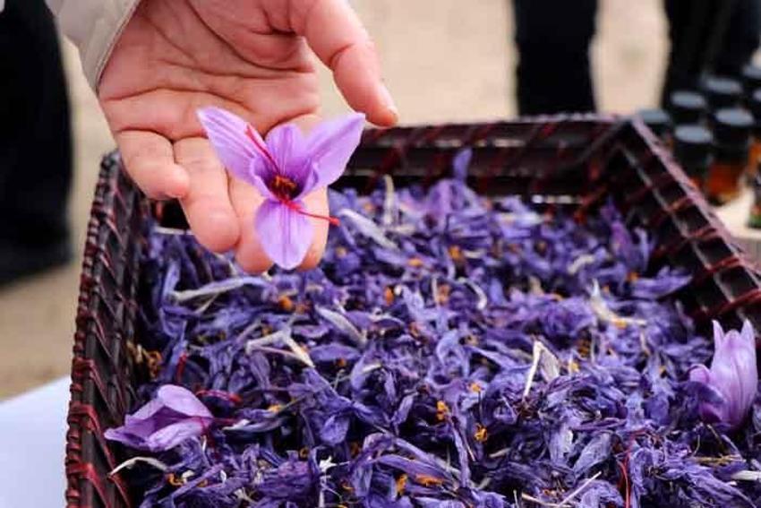 Gramı 50 lira! Talep patladı, üreten paraya para demiyor