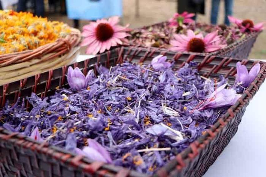 Gramı 50 lira! Talep patladı, üreten paraya para demiyor
