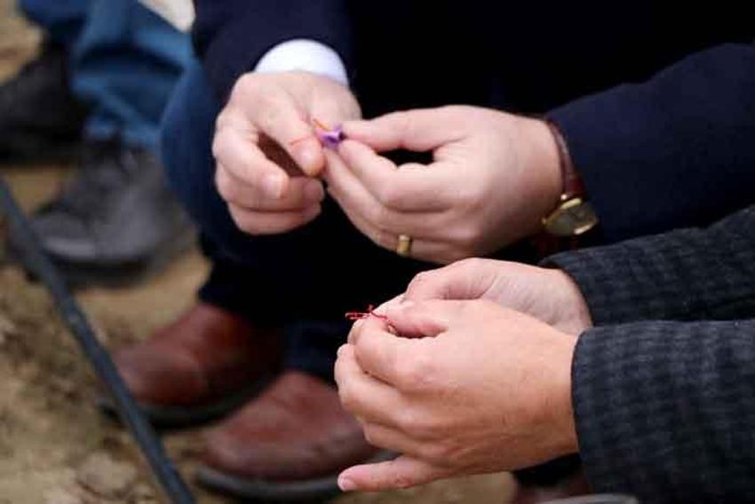 Gramı 50 lira! Talep patladı, üreten paraya para demiyor