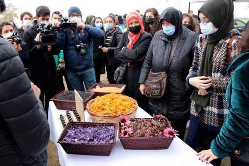 Gramı 50 lira! Talep patladı, üreten paraya para demiyor