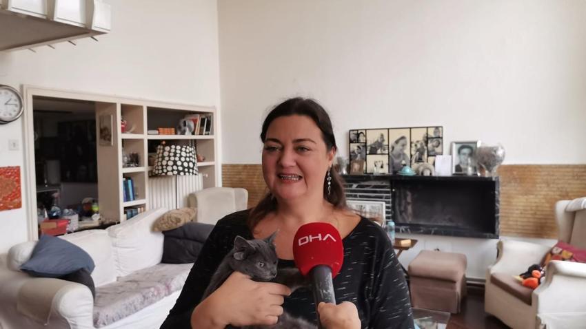 Türkiye bu kediyi konuşuyor! Bir anda fenomen oldu, mutasyon ve...