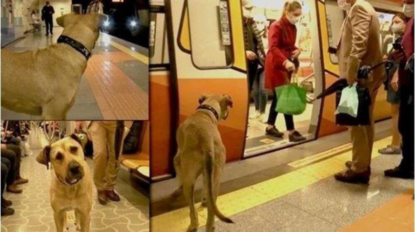 Boji'ye iftira atmak için cebinde dışkı taşımış! Akılalmaz iğrenç olay