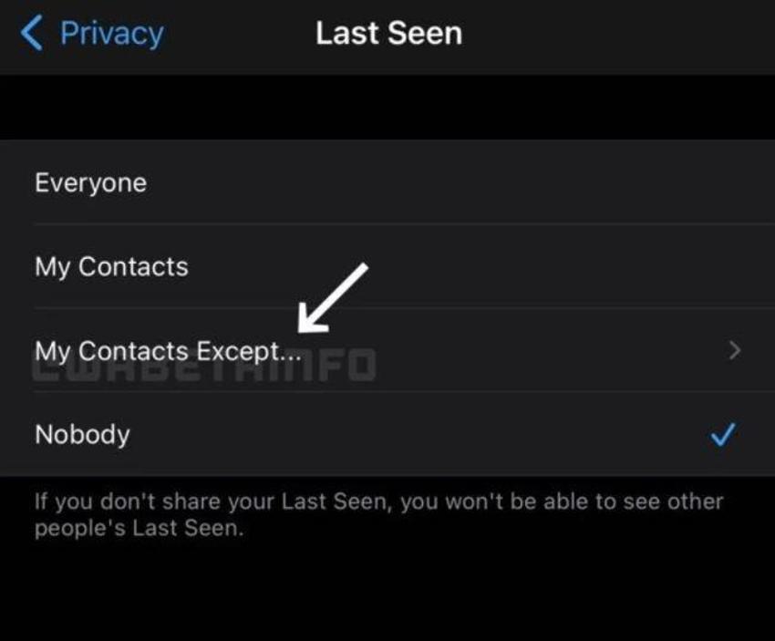 WhatsApp'a yeni özellik geliyor! Mesajlara cevap yazmak yerine tepki verilebilecek