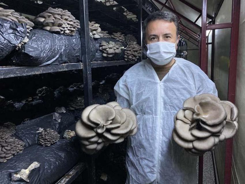 Kursa gitti, 30 bin TL hibe alıp bu işe başladı! Kazancı yüzde 50 arttı...