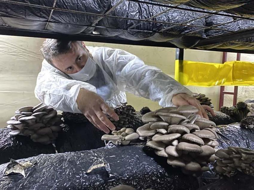 Kursa gitti, 30 bin TL hibe alıp bu işe başladı! Kazancı yüzde 50 arttı...