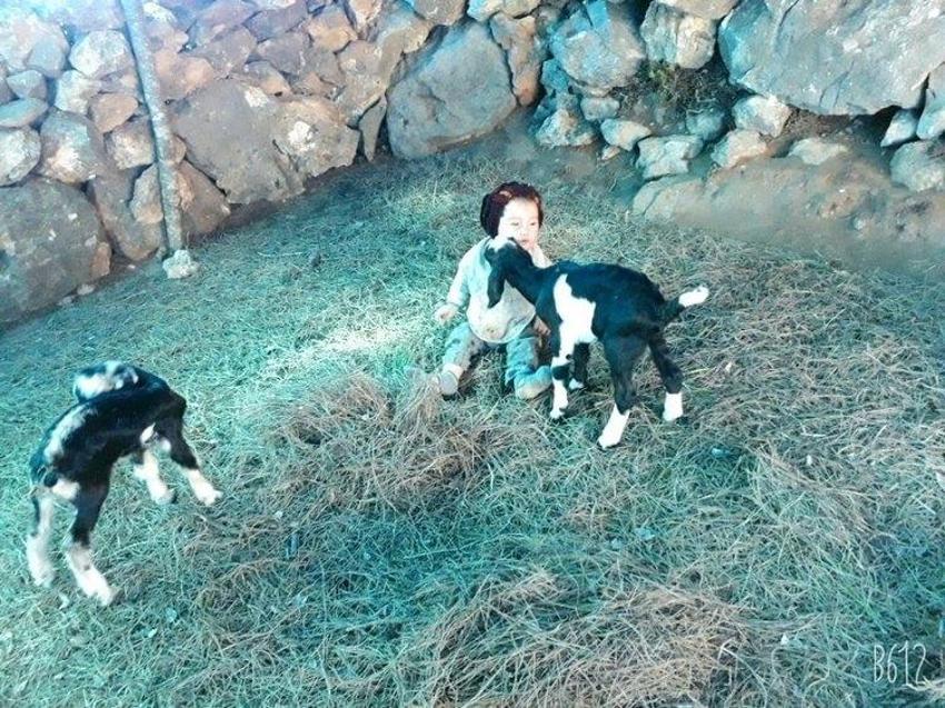 Müslüme'nin ölümüne ilişkin mide bulandıran detaylar! Müslüme'nin boynundaki iz ele verdi! İstismar, tehdit her şey var!