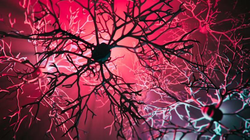 Alzheimer’da çığır açan gelişme! Bir ilk gerçekleşti, hastalığı yavaşlattığı kanıtlandı
