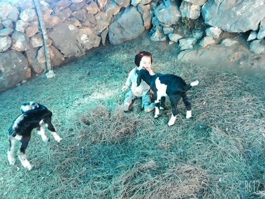 Müslüme'nin cinayetiyle ilgili son dakika gelişmesi! Bakan resmen duyurdu, birçok detay ortaya çıktı, anne ve 4 kardeşi de...