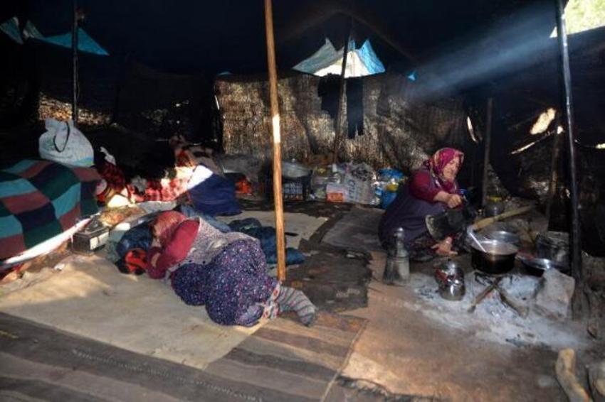 Müslüme'nin cinayetiyle ilgili son dakika gelişmesi! Bakan resmen duyurdu, birçok detay ortaya çıktı, anne ve 4 kardeşi de...