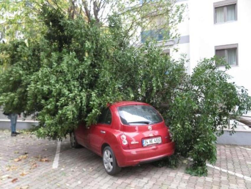 Birçok ilde fırtına hayatı felç etti! Çok sayıda ölü ve yaralı var, bir alarm daha verildi! Valilikler son dakika açıkladı...