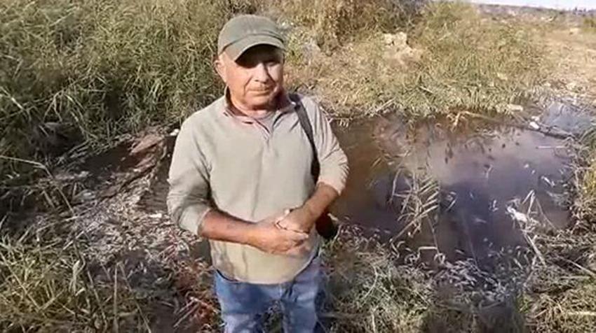 Şehri ayağa kaldıran görüntü! İsyan ettiler, binlercesi ölü bulundu