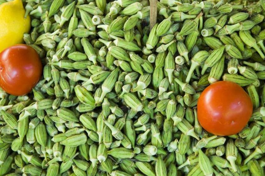 Kanser ve diyabetle savaşıyor! Halsizliği anında alan mucize besin