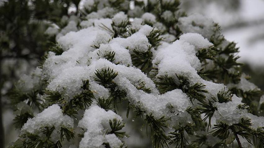 Kar geri döndü! Şimdiden 30 santimi aştı, Meteoroloji'den art arda son dakika uyarıları geliyor, alarm seviyesine geçildi, onlarca kentte...