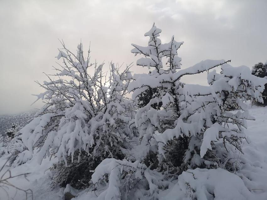 Kar geri döndü! Şimdiden 30 santimi aştı, Meteoroloji'den art arda son dakika uyarıları geliyor, alarm seviyesine geçildi, onlarca kentte...