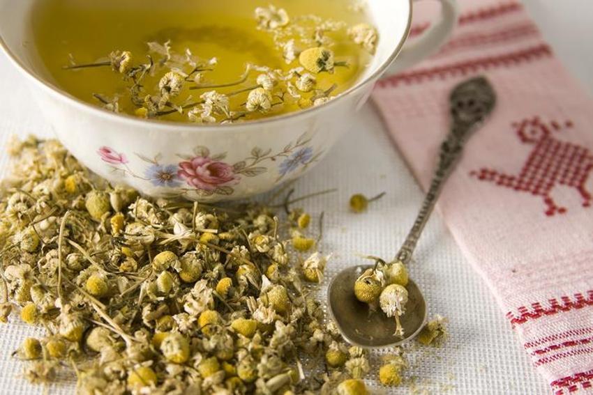 Diyabeti önlüyor, günde üç fincan yetiyor! ‘Altın çay' şeker hastalığını yok ediyor