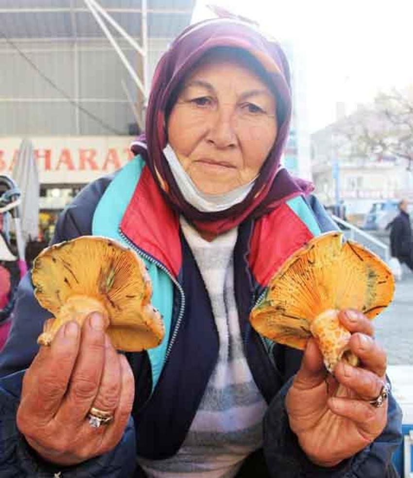 Fiyatını duyan ormana koştu! Halkın geçim kaynağı oldu, korkutan uyarı geldi