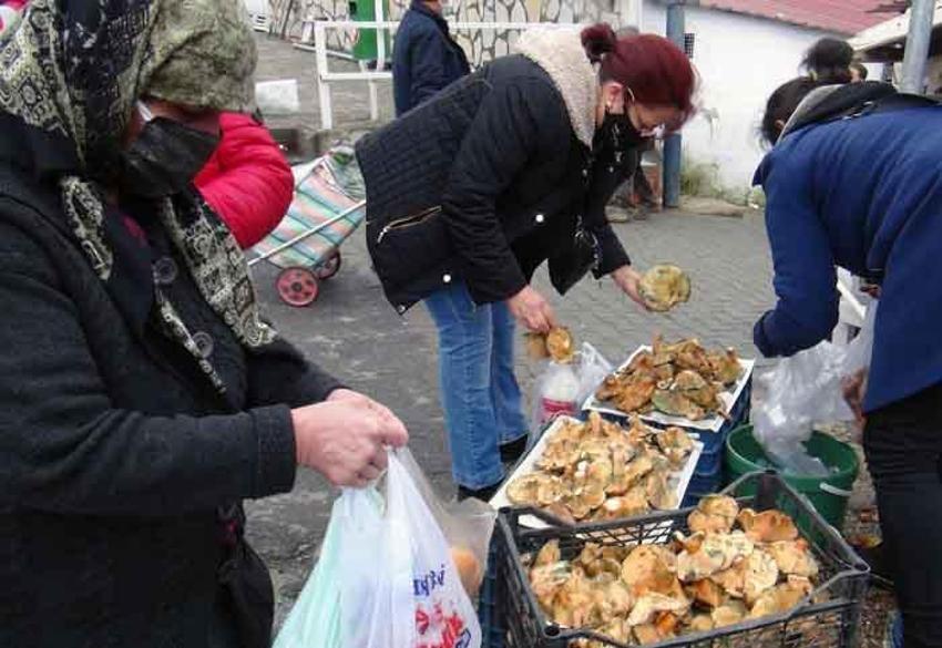 Fiyatını duyan ormana koştu! Halkın geçim kaynağı oldu, korkutan uyarı geldi
