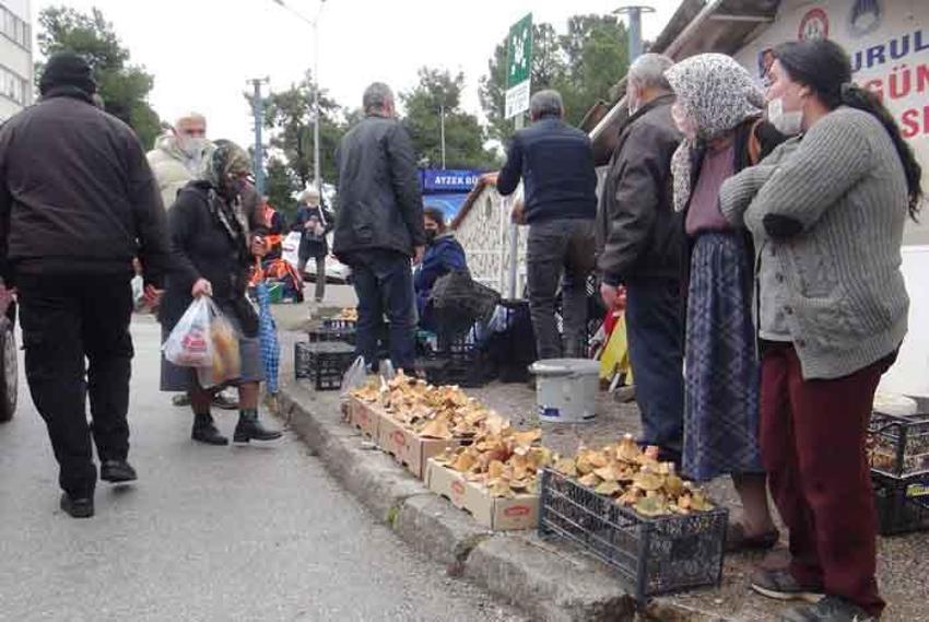 Fiyatını duyan ormana koştu! Halkın geçim kaynağı oldu, korkutan uyarı geldi